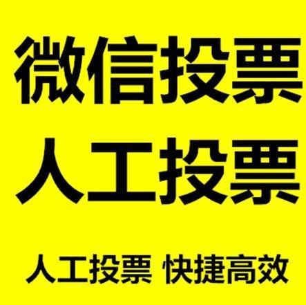 邯郸市投票活动拉票能被查出来吗？如何操作能不被发现？